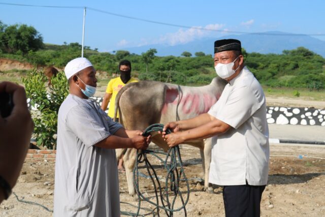 Polda Sulteng Berqurban 221 Ekor Sapi dan Kambin