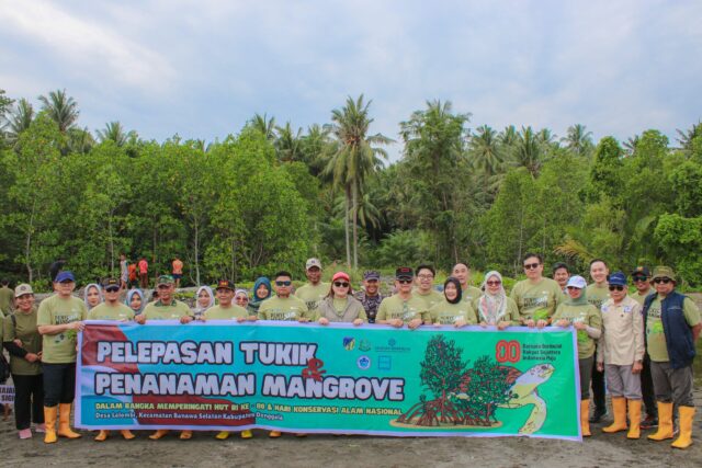 Kejati Sulteng Tanam Mangrove dan Lepas Tukik