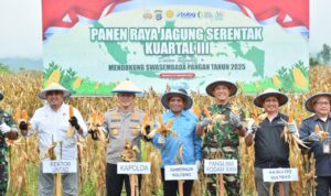 Polda Sulteng Panen jagung