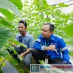 CK Angkat Pertanian Ramah Lingkungan ke Pentas Nasional