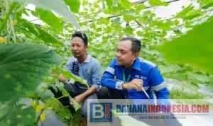 CK Angkat Pertanian Ramah Lingkungan ke Pentas Nasional