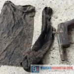 Warga Sausu Serahkan Temuan Senpi Rakitan ke Satgas Madago Raya