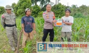 Kaops Madago Raya Kombes Pol Heni Agus Sunandar menyerahkan bantuan obat hama kepada eks napiter di Dusun Tamanjeka, Poso, Sulawesi Tengah, Minggu (12/10/2025).
