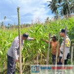 Polsek Parigi terus menunjukkan komitmennya melalui pendampingan langsung kepada masyarakat di sektor pertanian.