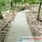 Kades Mapahi Bangun Infrastruktur Jalan Usaha Tani