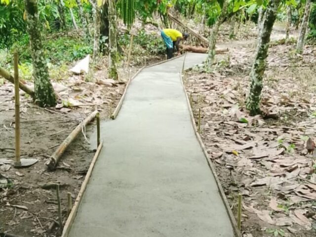 Kades Mapahi Bangun Infrastruktur Jalan Usaha Tani