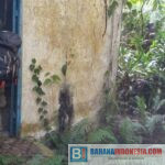 Intensif Patroli Hutan Pegunungan Satgas Madago Raya