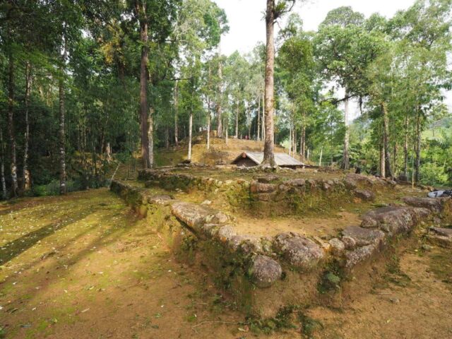 Indonesia Dorong Ekonomi Hijau, Inklusi Sosial, dan Pengurangan Emisi, serta Ketahanan Iklim Melalui Skema REDD+