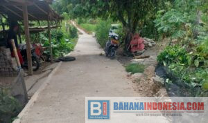 Pemerintah Desa Tomua, Kecamatan Kulawi Selatan, Kabupaten Sigi, Sulawesi Tengah, membangun jalan rabat lingkungan sebagai akses menuju sekolah.