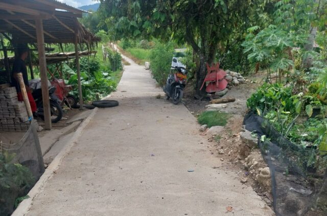 Pemerintah Desa Tomua, Kecamatan Kulawi Selatan, Kabupaten Sigi, Sulawesi Tengah, membangun jalan rabat lingkungan sebagai akses menuju sekolah.
